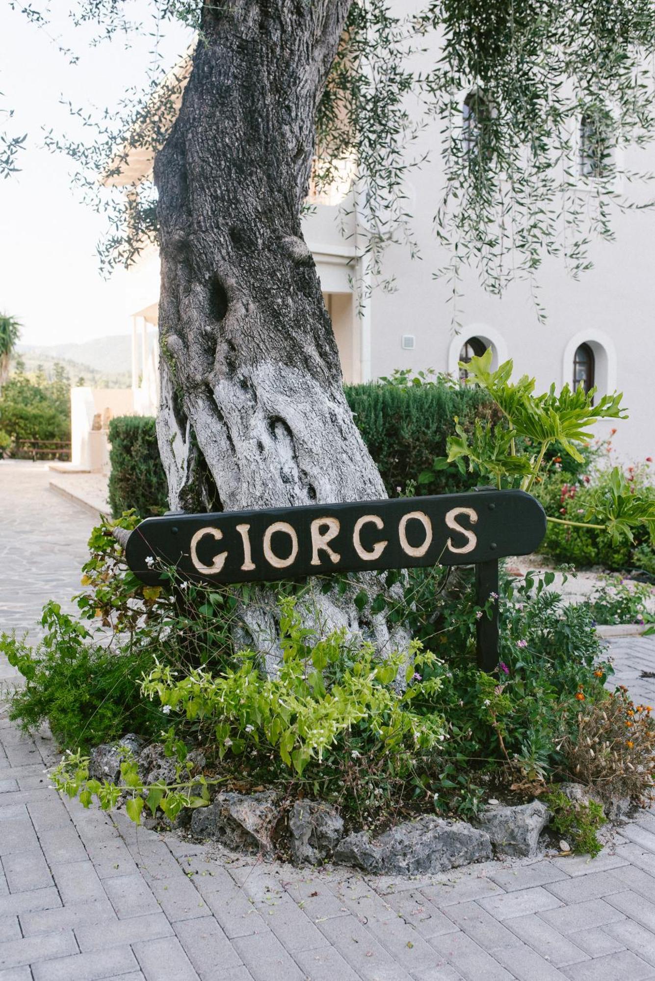 Giorgos apartments Dassia (Corfu) Exterior foto